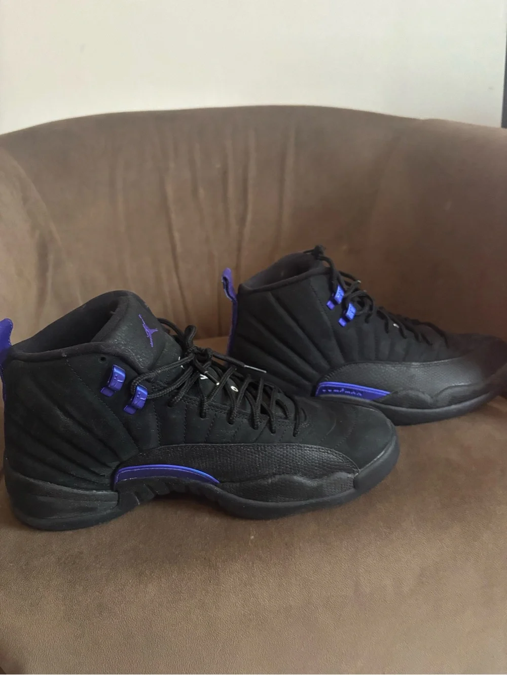 Air Jordan 12 “Dark Concord” (CT8013-005)
